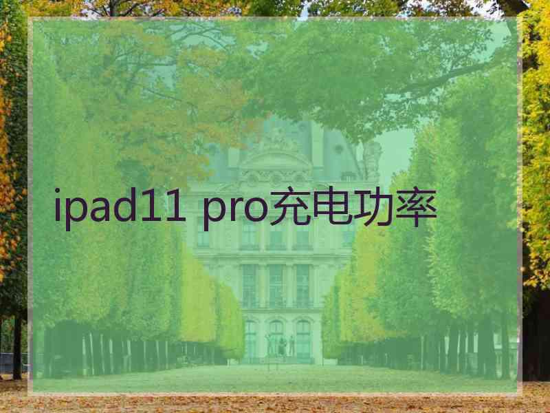 ipad11 pro充电功率