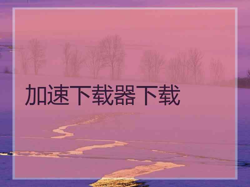 加速下载器下载