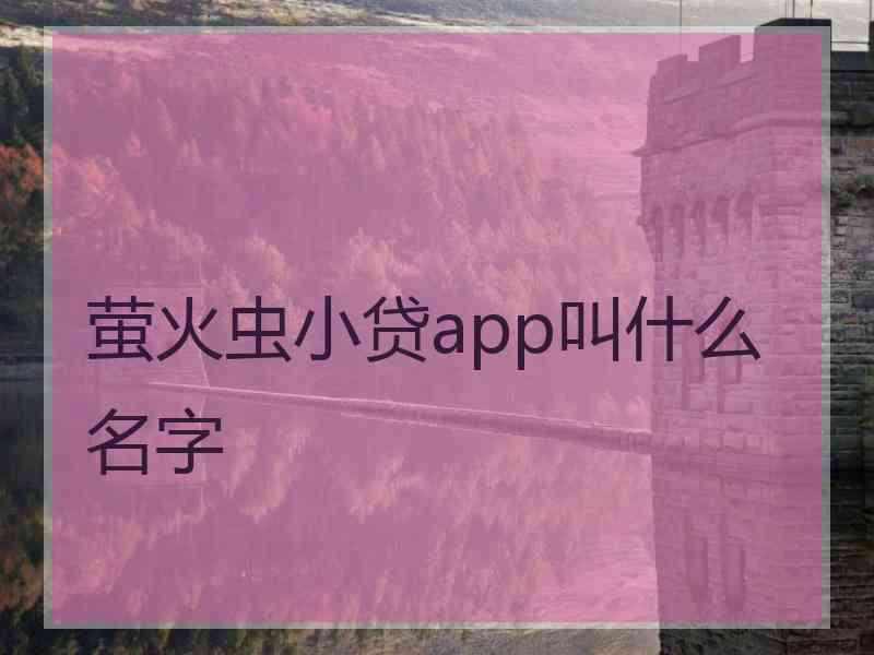 萤火虫小贷app叫什么名字