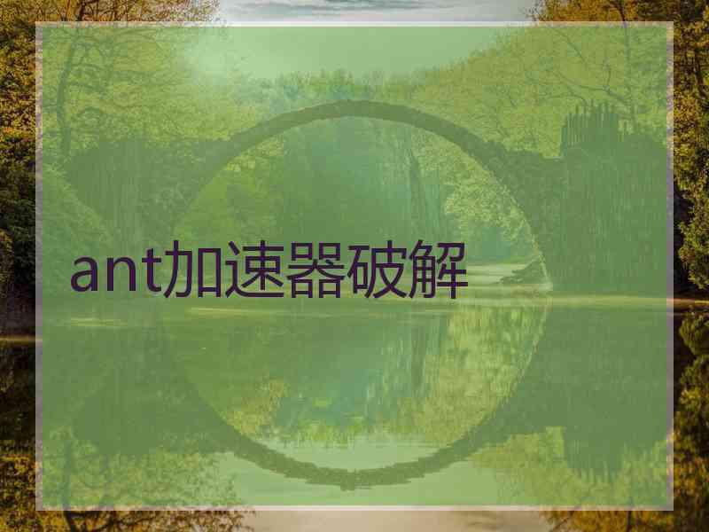 ant加速器破解