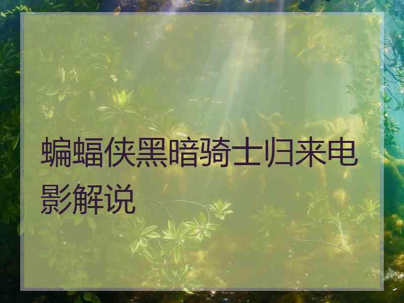 蝙蝠侠黑暗骑士归来电影解说