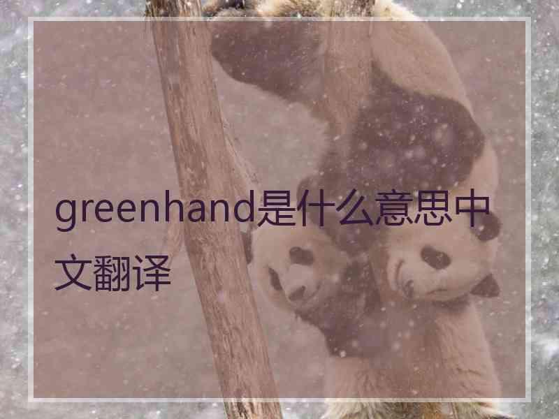 greenhand是什么意思中文翻译