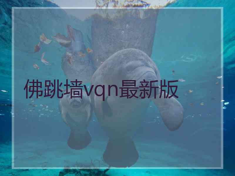 佛跳墙vqn最新版