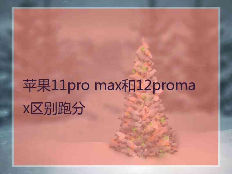 苹果11pro max和12promax区别跑分