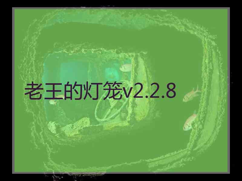 老王的灯笼v2.2.8