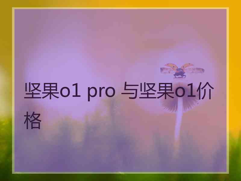 坚果o1 pro 与坚果o1价格