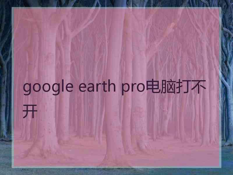 google earth pro电脑打不开