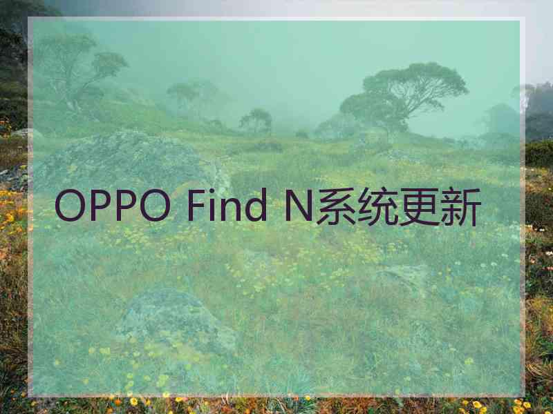 OPPO Find N系统更新