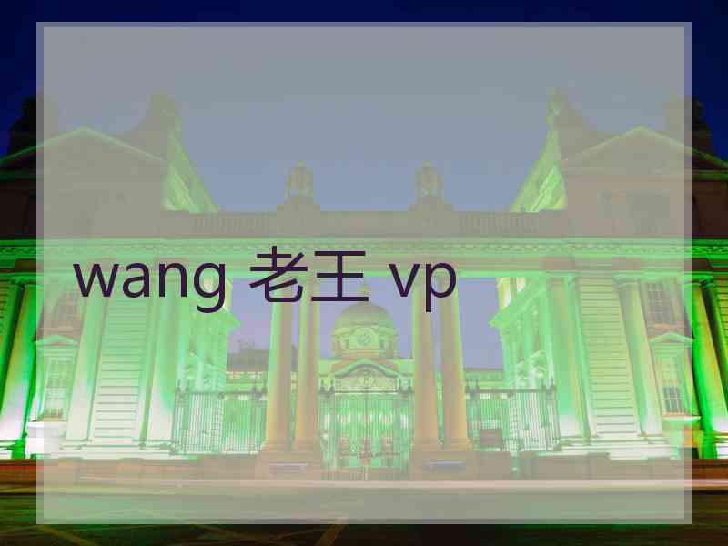 wang 老王 vp