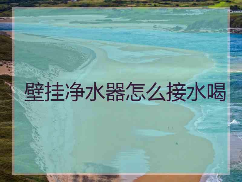 壁挂净水器怎么接水喝