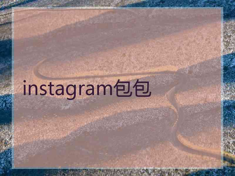 instagram包包