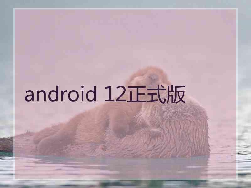 android 12正式版