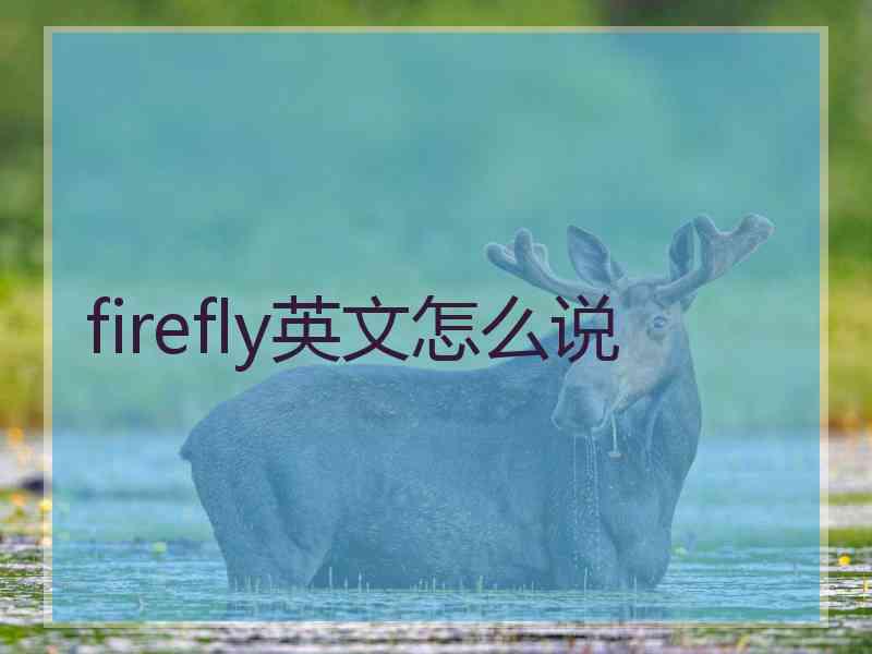 firefly英文怎么说