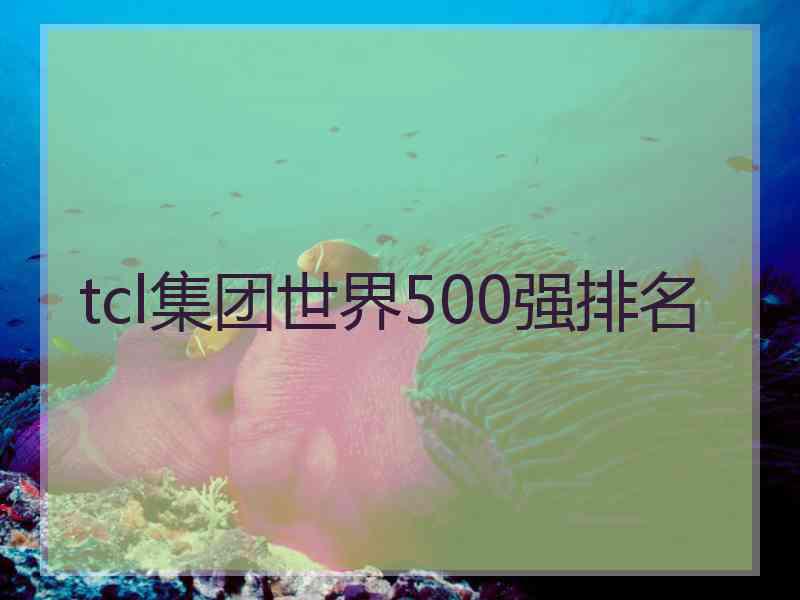 tcl集团世界500强排名