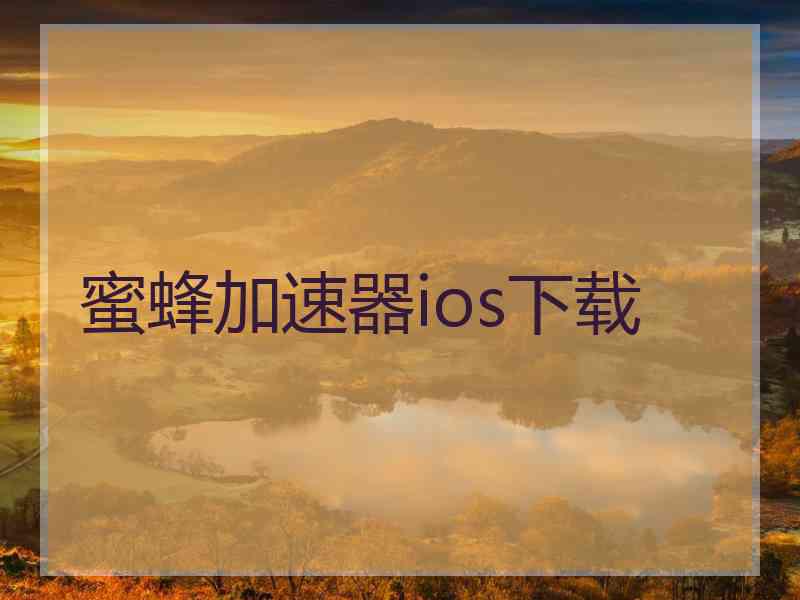 蜜蜂加速器ios下载