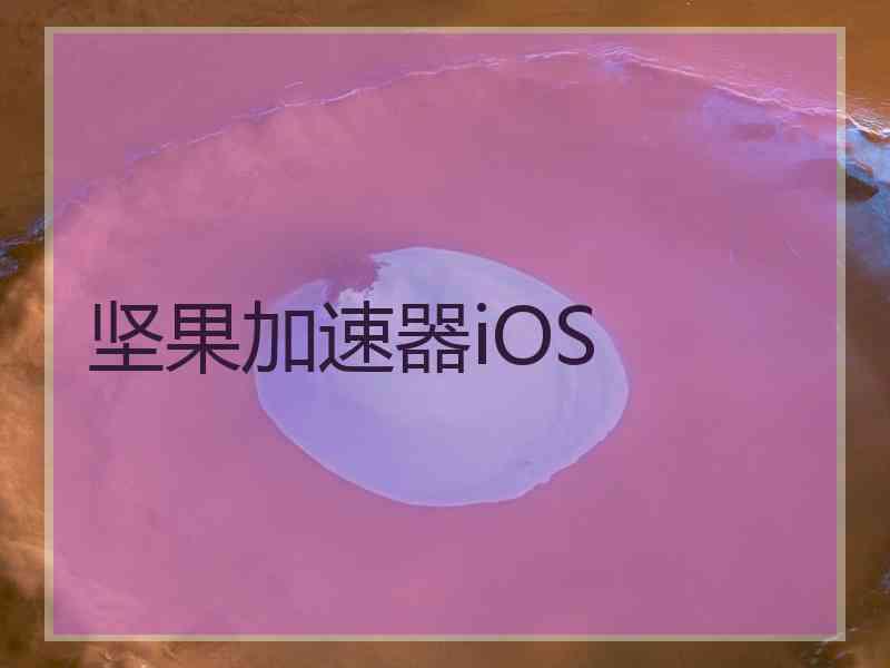 坚果加速器iOS