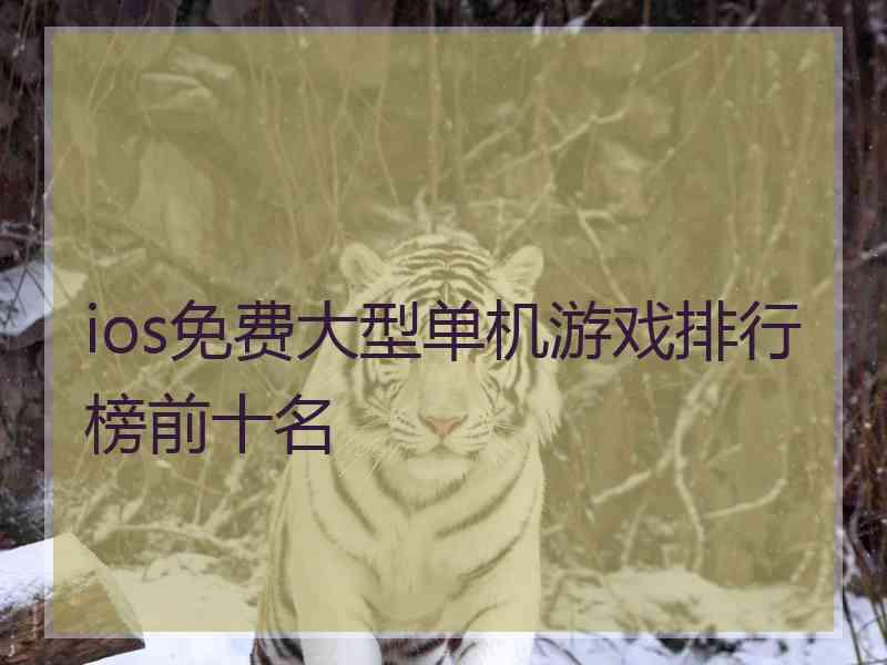 ios免费大型单机游戏排行榜前十名