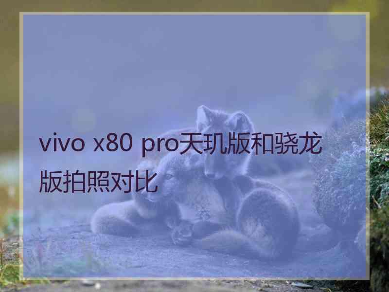 vivo x80 pro天玑版和骁龙版拍照对比