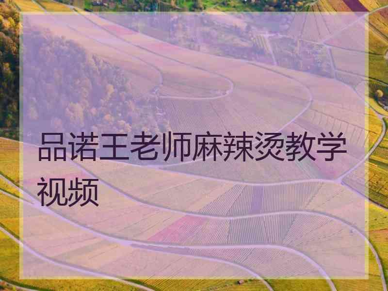 品诺王老师麻辣烫教学视频