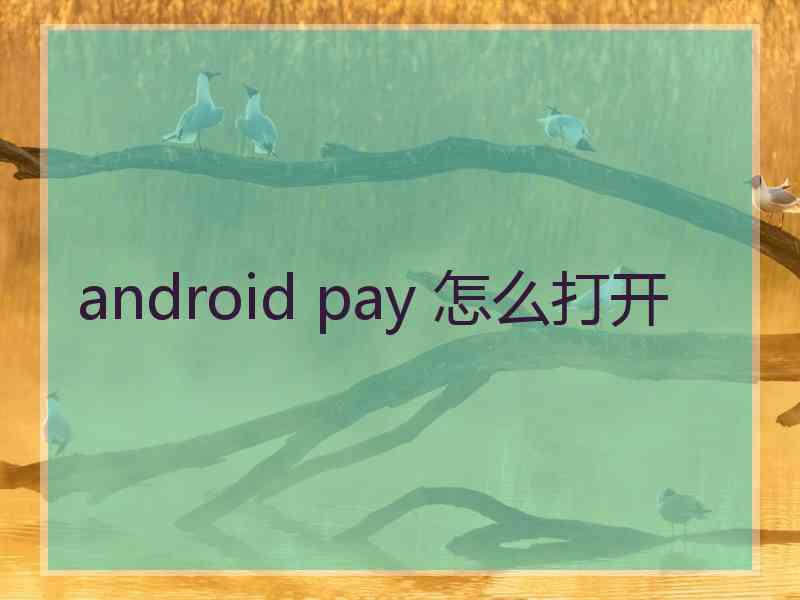 android pay 怎么打开