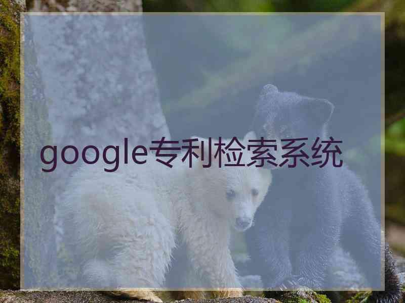 google专利检索系统