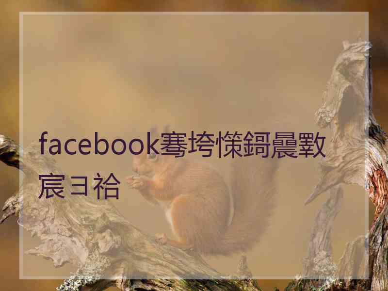 facebook骞垮憡鎶曟斁宸ヨ祫