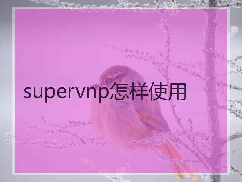 supervnp怎样使用