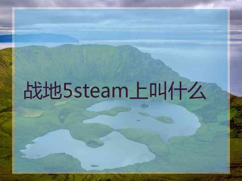 战地5steam上叫什么