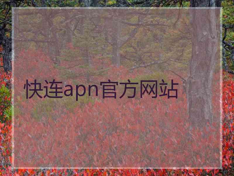 快连apn官方网站