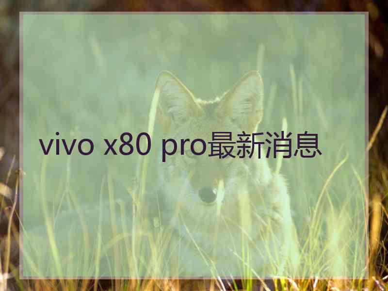 vivo x80 pro最新消息