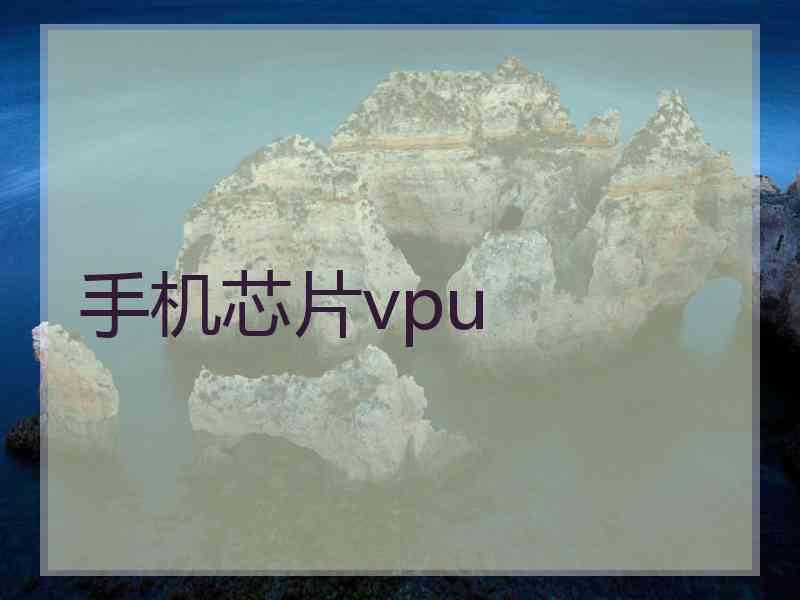 手机芯片vpu