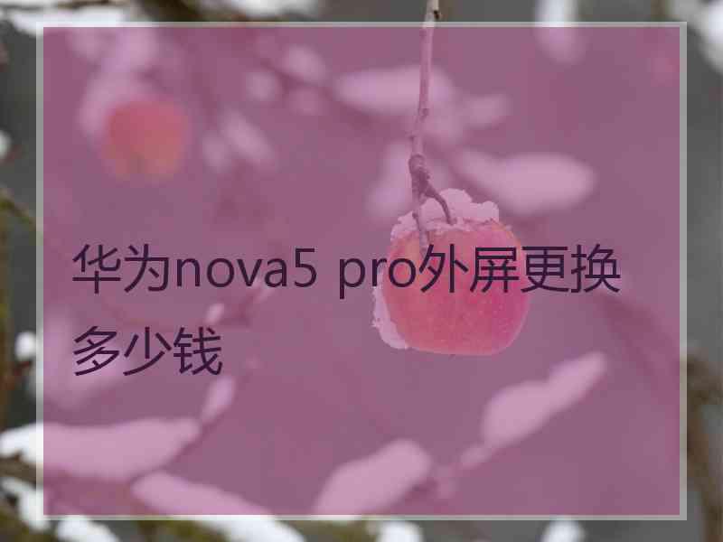 华为nova5 pro外屏更换多少钱