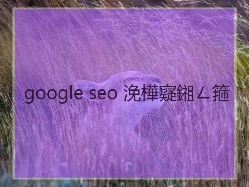 google seo 浼樺寲鎺ㄥ箍