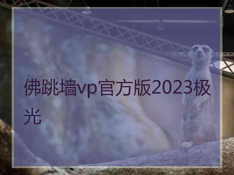 佛跳墙vp官方版2023极光