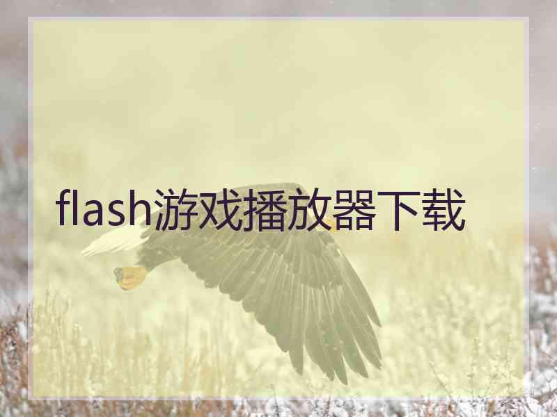 flash游戏播放器下载