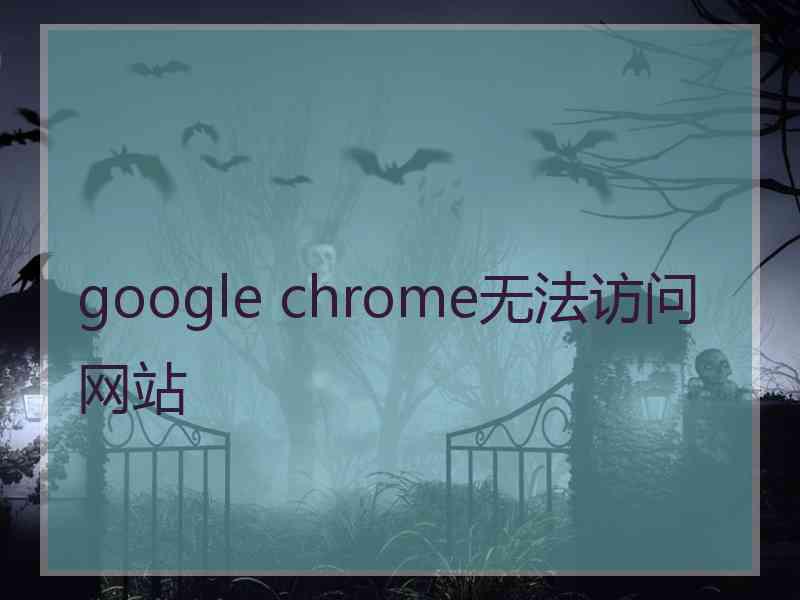 google chrome无法访问网站