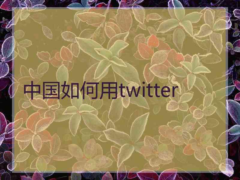 中国如何用twitter