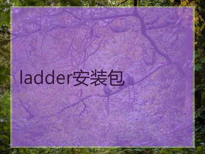 ladder安装包