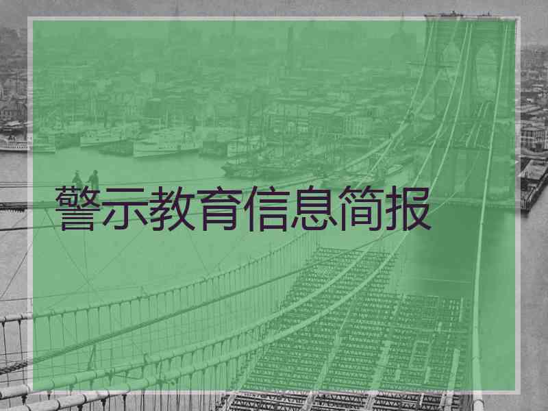 警示教育信息简报