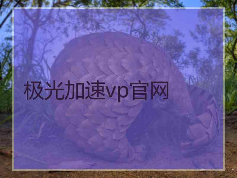 极光加速vp官网