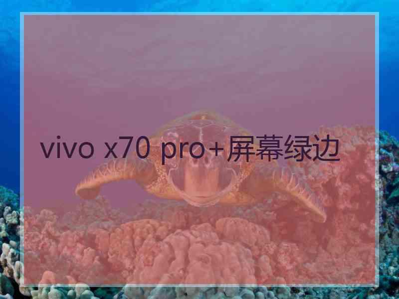 vivo x70 pro+屏幕绿边