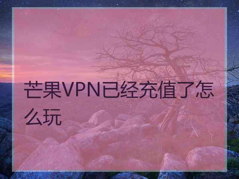 芒果VPN已经充值了怎么玩