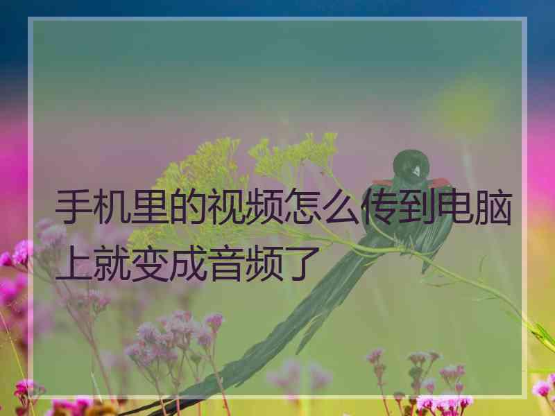 手机里的视频怎么传到电脑上就变成音频了