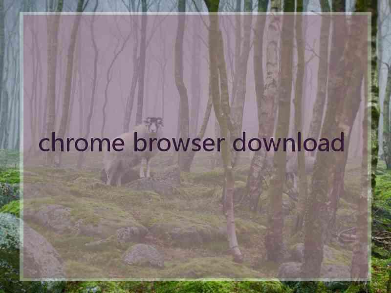 chrome browser download