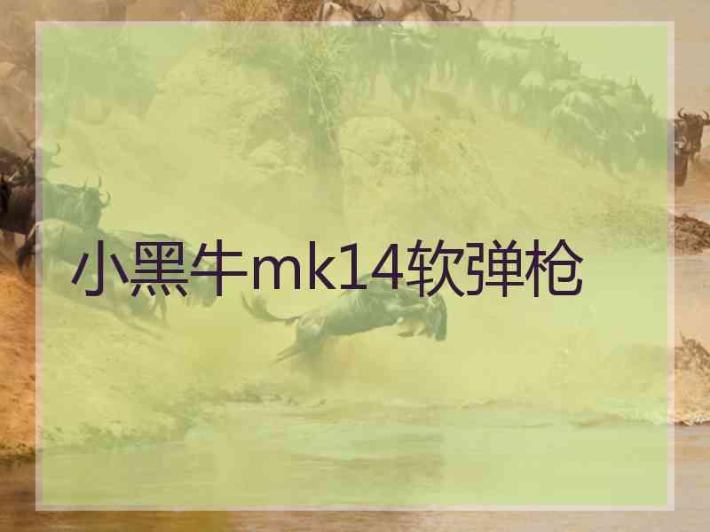 小黑牛mk14软弹枪