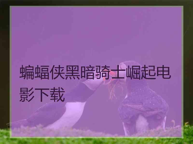 蝙蝠侠黑暗骑士崛起电影下载