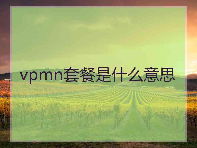 vpmn套餐是什么意思