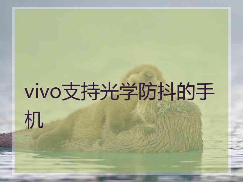 vivo支持光学防抖的手机