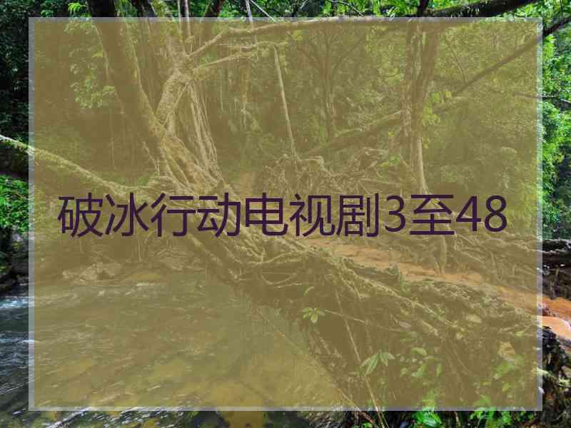 破冰行动电视剧3至48