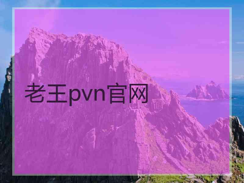 老王pvn官网